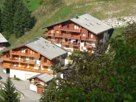 Appartement 31m² sud-ouest, balcon, ski bus à 100m : photo 8
