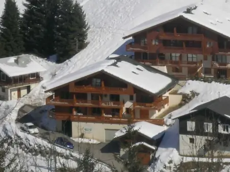 T2 Arêches-Beaufort, animaux acceptés, vue village : photo 10