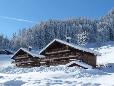 Appartement 4 pers. à 350m des pistes d'Arêches : photo 11