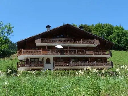 Appartement T2 balcon sud-est, 350m remontées mécaniques : photo 4