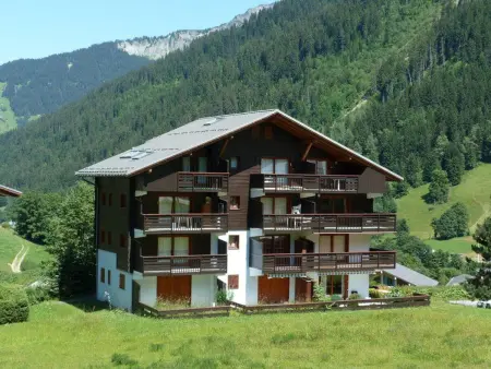 Appartement 24m² au pied des pistes - Arêches-Beaufort : photo 3