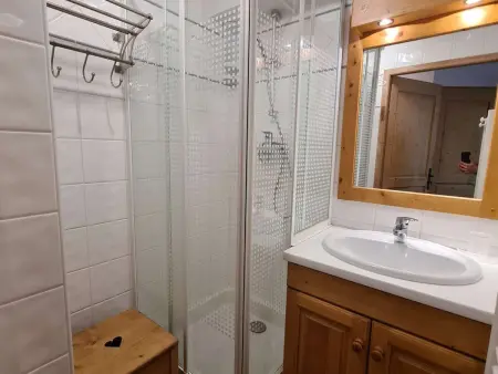 Appartement T2 32m² à 350m des pistes, Arêches-Beaufort : photo 6