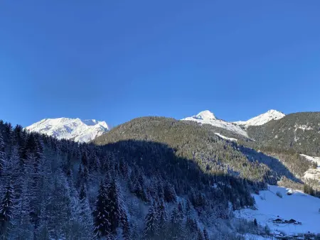 Appartement 4 pers. vue village, ski bus gratuit : photo 8