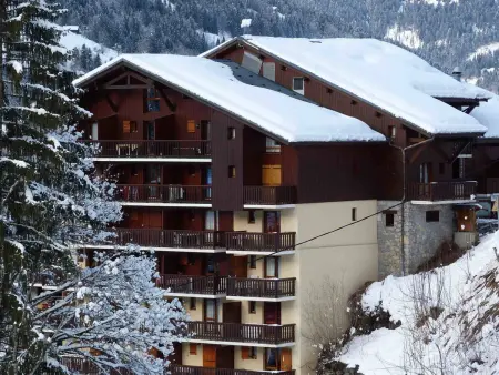 Appartement 2 pièces centre Arêches-Beaufort, animaux acceptés : photo 8