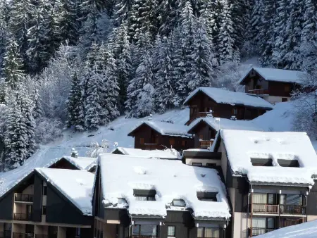 Appartement 5 pers., terrasse sud-ouest - Arêches-Beaufort : photo 12