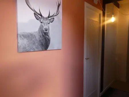 Appartement 9 pers. avec cheminée à Arêches-Beaufort : photo 11