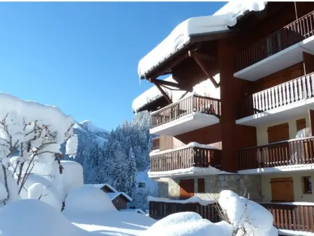 Appartement 2 pièces Arêches-Beaufort, animaux admis : photo 8