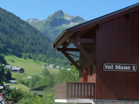 Appartement 2 pièces Arêches-Beaufort, 350m des remontées : photo 8