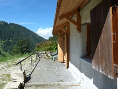 Appartement 3 pièces terrasse, 850 m des pistes à Arêches-Beaufort : photo 9