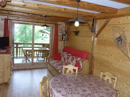 Appartement 32m² animaux admis, 500m des pistes : photo 1
