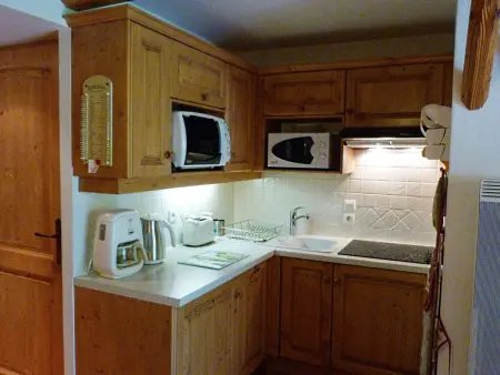 Appartement 32m² animaux admis, 500m des pistes : photo 2