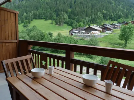 Appartement 32m² animaux admis, 500m des pistes : photo 5
