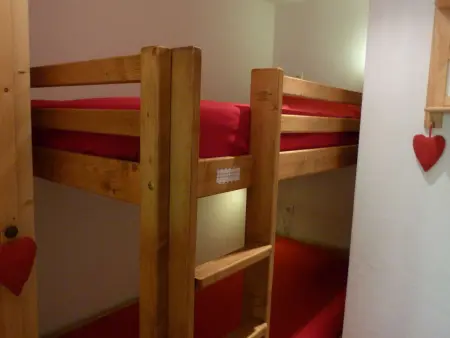 Appartement 32m² animaux admis, 500m des pistes : photo 6