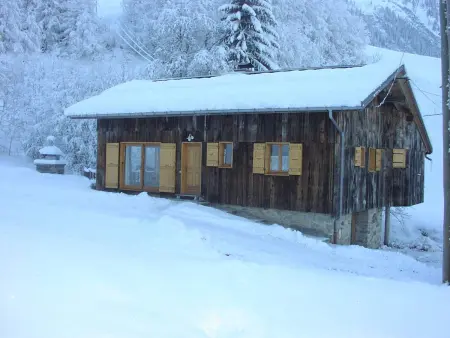 Chalet 8 pers. au Planay, 350m des pistes : photo 8