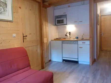Appartement 4 pers., 350m des pistes à Arêches-Beaufort : photo 2