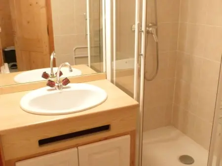 Appartement 4 pers., 350m des pistes à Arêches-Beaufort : photo 7