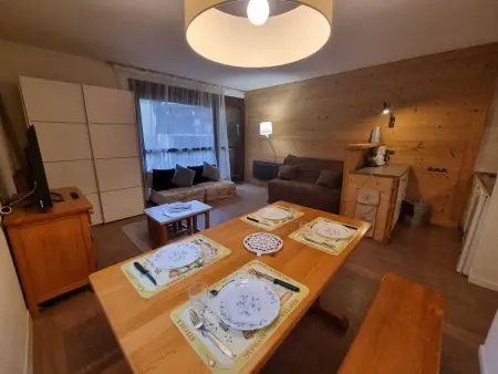 Studio 35m² avec parking – Ski aux pieds : photo 1
