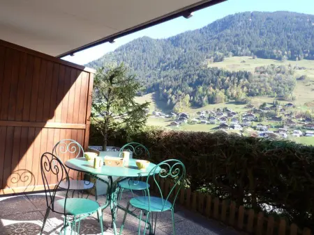 T2 32m² avec terrasse sud aux Carroz, 1 km des remontées : photo 6