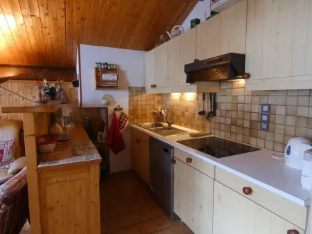 Appartement 6 pers. animaux admis, ski au pied : photo 2