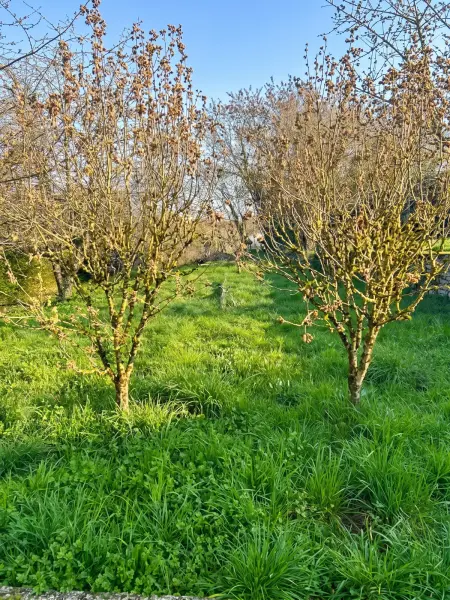 Maison de 700 m² avec jardin clôturé à Cemboing, 5 personnes : photo 20