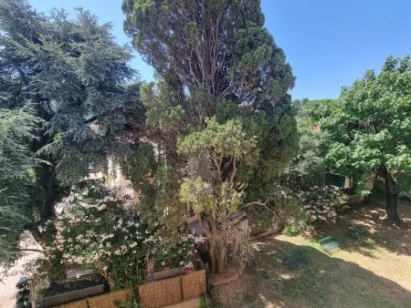T2 Collioure, 170m plage, parking privé : photo 20