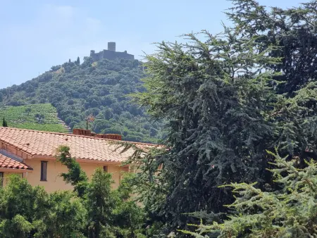T2 Collioure, 170m plage, parking privé : photo 23
