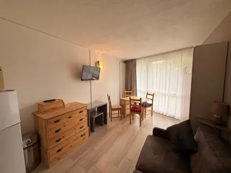Studio rénové 24 m² vue pistes à Villard-de-Lans : photo 1