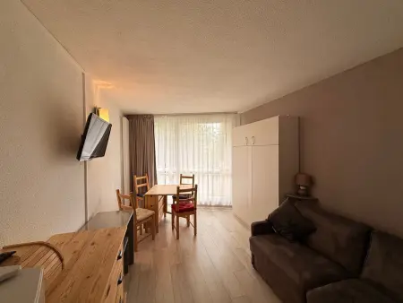 Studio rénové 24 m² vue pistes à Villard-de-Lans : photo 2