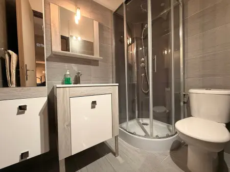 Studio rénové 24 m² vue pistes à Villard-de-Lans : photo 4