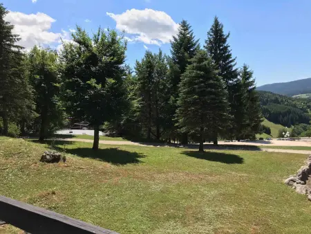 Studio rénové 24 m² vue pistes à Villard-de-Lans : photo 6