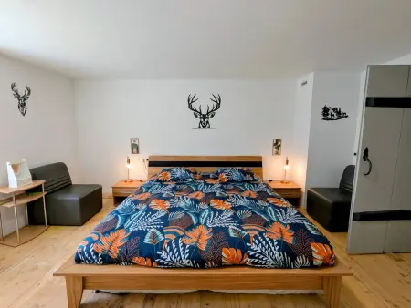 Gîte nature avec animaux admis - 6 pers., Gite 6 personnes à Fraize - Photo 26