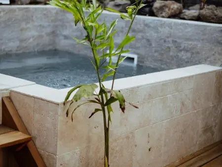 Villa Loret à L'Étang-Salé : 4 pers., mini-piscine : photo 13