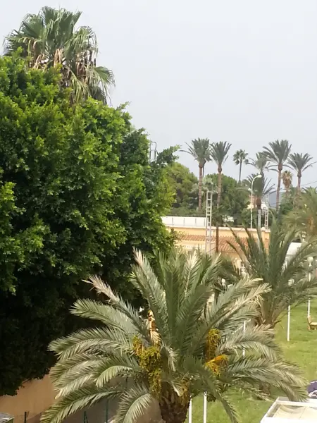 Appartement 92 m² avec piscine partagée, vue mer, Denia : photo 28