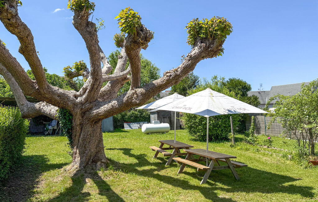 Maison 10 pers. Périgord Vert, jardin et randonnée - Photo 2