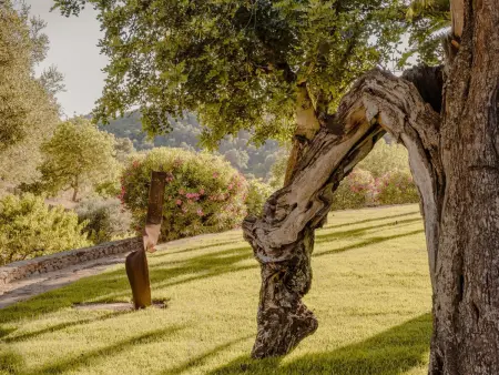Villa Can Nikita à Ibiza : 6 chambres, yoga et spa privé - Photo 14