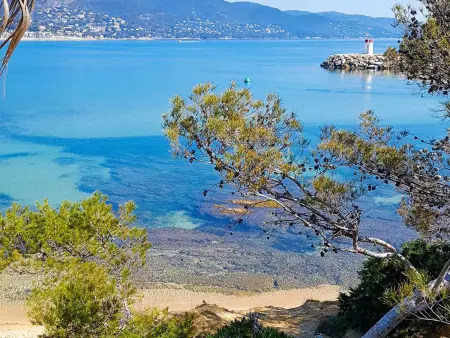 Deux-pièces terrasse mer et pinède - Bormes-les-Mimosas : photo 15