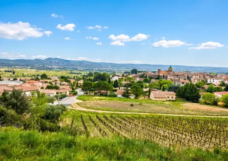 Appartement avec jardin privé et vue montagne à Saint-Jean-de-Fos : photo 23