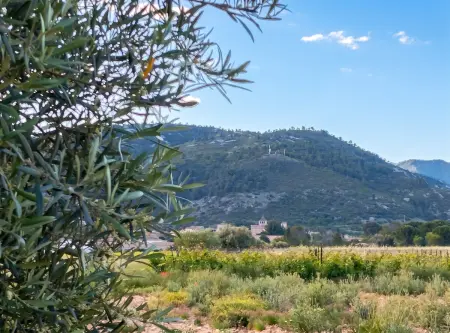 Appartement avec jardin privé et vue montagne à Saint-Jean-de-Fos : photo 30