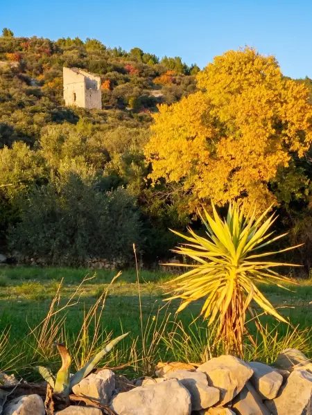 Appartement avec jardin privé et vue montagne à Saint-Jean-de-Fos : photo 35