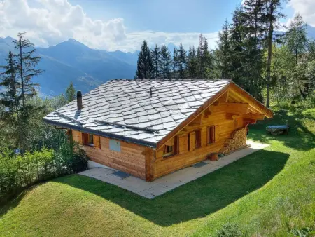 Chalet Collons 1850, Maison 10 personnes à Thyon Les Collons - Photo 1
