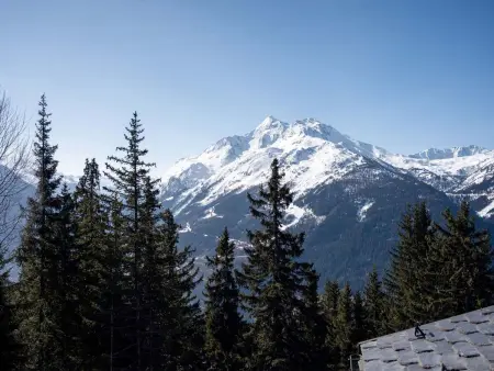 Apt 4 pièces 107 m² – Résidence l'Orée du Bois, La Rosière : photo 19
