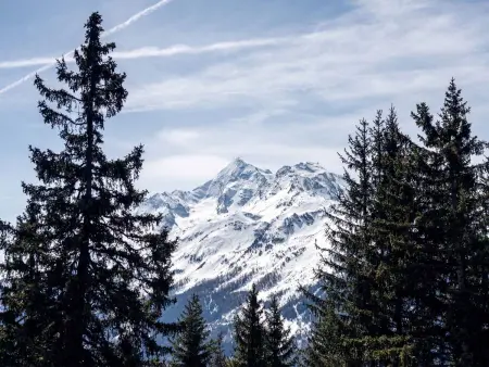 Apt 6 pièces 150 m² L'Orée du Bois, La Rosière : photo 19