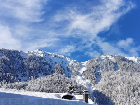 Chalet Coeur Paradis, Maison 8 personnes à Peisey Nancroix - Photo 21
