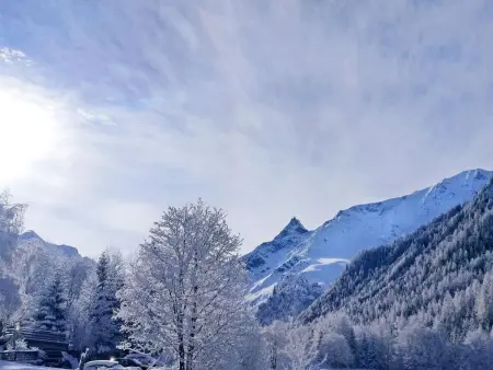 Chalet Coeur Paradis, Maison 8 personnes à Peisey Nancroix - Photo 22