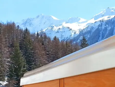 Balcon du Paradis, Maison 14 personnes à Peisey Nancroix - Photo 3