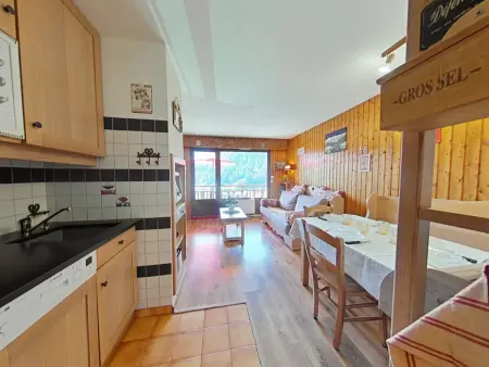 Studio 4 pers. Le Grand-Bornand, balcon vue Aravis : photo 5