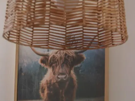 Maison à la ferme équestre, 7 pers. à Joué-du-Plain : photo 14