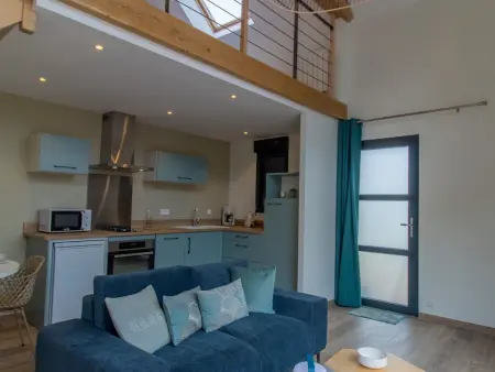 Gîte rénové avec terrasse, 1 km des bords de Loire : photo 10