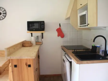 Appartement 4 pers. animaux admis à Châtel : photo 6