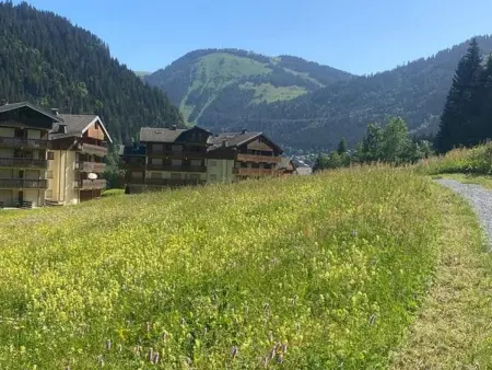 Appartement 4 pers. animaux admis à Châtel : photo 15